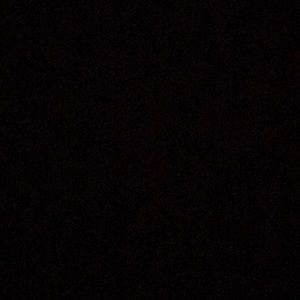 Meet your Posher, Dina